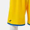 Joma Phoenix III Basketball Shorts