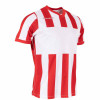 Stanno Aspire Shirt