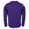 Stanno Drive Match Shirt LS