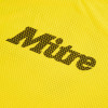 Mitre Pro Training Bibs 24