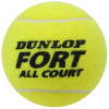 Dunlop Fort All Court Tennis Balls (Tube of 3)