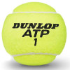 Dunlop ATP Championship Tennis Balls (Tube of 4)