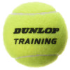 Dunlop Trainer Tennis Balls (60 Ball Bucket)
