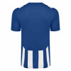Umbro Ramone Jersey