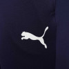 Puma Team Liga Training Pants