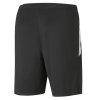 Puma Team Liga Training Shorts