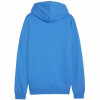 Puma Team Goal Casuals Hooded Jacket