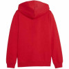 Puma Team Goal Casuals Hooded Jacket