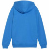 Puma Team Goal Casuals Hooded Jacket