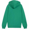 Puma Team Goal Casuals Hooded Jacket