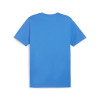 Puma Team Goal Casuals Tee
