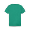 Puma Team Goal Casuals Tee