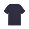 Puma Team Goal Casuals Tee