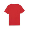 Puma Team Goal Casuals Tee