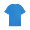 Puma Team Goal Casuals Tee