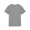 Puma Team Goal Casuals Tee
