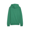 Puma Team Goal Casuals Hoody