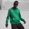 Puma Team Goal Casuals Hoody