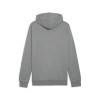 Puma Team Goal Casuals Hoody
