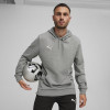 Puma Team Goal Casuals Hoody
