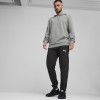 Puma Team Goal Casuals Hoody