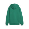 Puma Team Goal Casuals Hoody