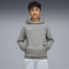 Puma Team Goal Casuals Hoody