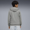 Puma Team Goal Casuals Hoody
