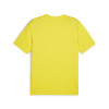 Puma Team Goal Jersey