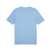 Puma Team Goal Jersey