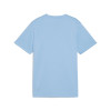 Puma Team Goal Jersey