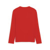 Puma Team Goal Baselayer Tee (Long Sleeve)