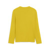 Puma Team Goal Baselayer Tee (Long Sleeve)