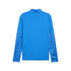 Puma Team Cup Training 1/4 Zip Top