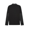 Puma Team Cup Training 1/4 Zip Top