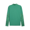 Puma Team Cup Training 1/4 Zip Top