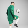 Puma Team Cup Training 1/4 Zip Top