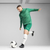 Puma Team Cup Training 1/4 Zip Top