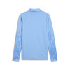 Puma Team Cup Training 1/4 Zip Top