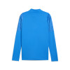 Puma Team Cup Training Jacket