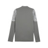Puma Team Cup Training Jacket