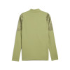 Puma Team Cup Training Jacket