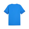 Puma Team Cup Training Jersey