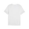 Puma Team Cup Training Jersey