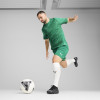 Puma Team Cup Training Jersey