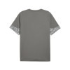 Puma Team Cup Training Jersey