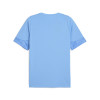 Puma Team Cup Training Jersey