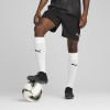 Puma Team Cup Training Shorts