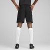 Puma Team Cup Training Shorts