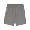 Puma Team Cup Training Shorts